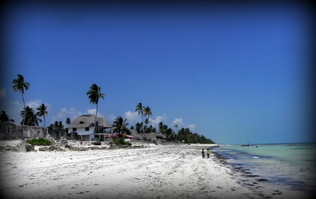 Kilka obliczy Zanzibaru